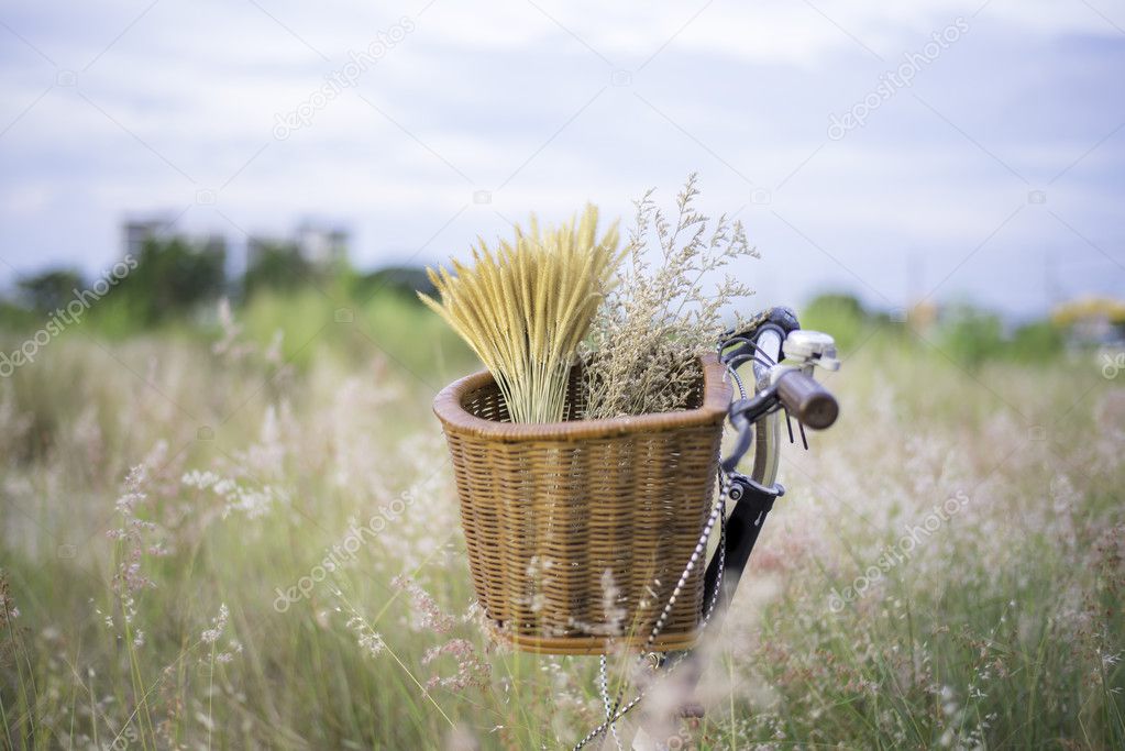 Bicycle with basket and guitar of flowers in meadow, select and soft focus
