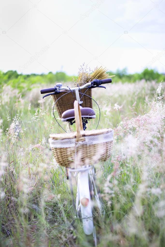 Bicycle with basket and guitar of flowers in meadow, select and soft focus