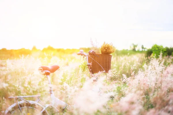 Fiets met het mandje en gitaar van bloemen in de weide vintage, select en zachte focus — Stockfoto