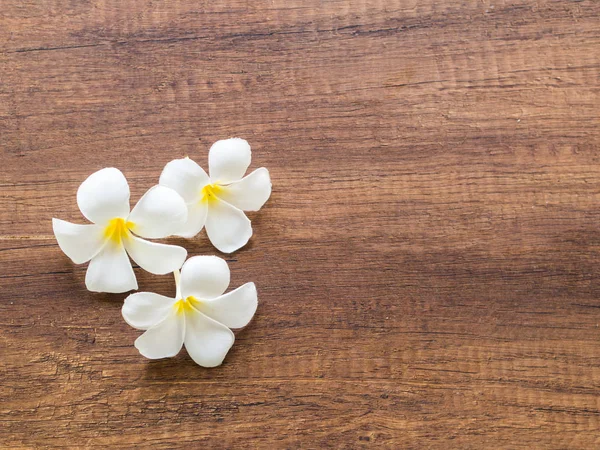 Frangipani plumeria Spa bloem op de houten — Stockfoto