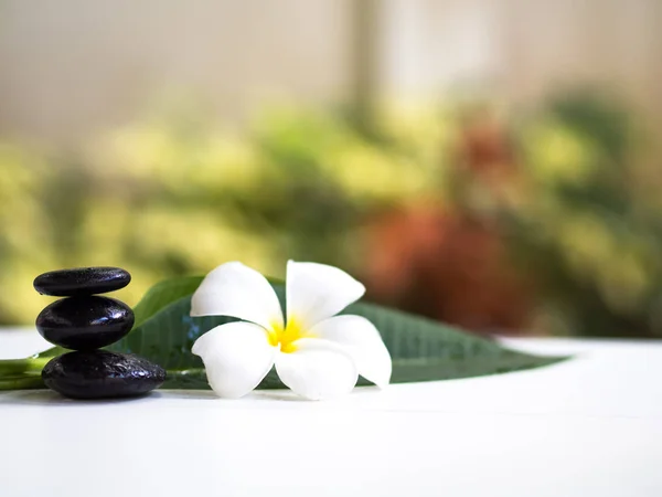 Frangipani plumeria Spa bloem met massage stenen op witte achtergrond — Stockfoto