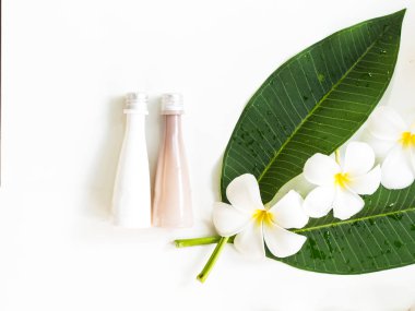 Beyaz tahta üzerine Frangipani plumeria Spa çiçek