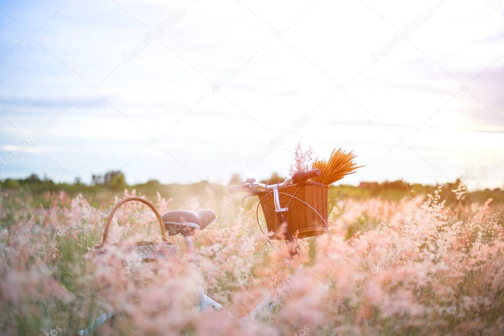 Bicycle with basket and guitar of flowers in meadow, select and soft focus