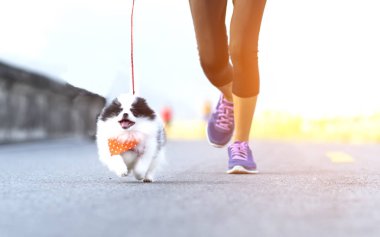 Egzersiz sabah sokak park üzerinde çalışan köpek yavrusu