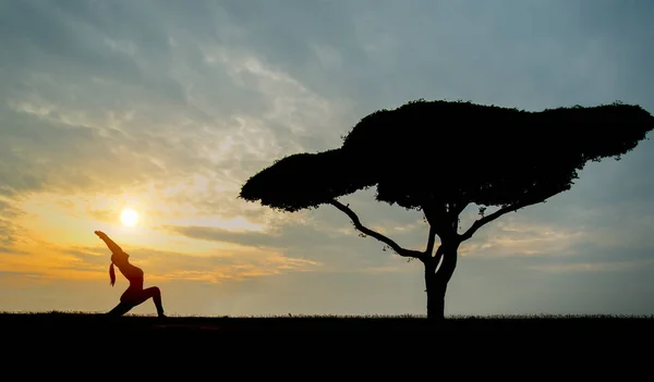 Silhouette yoga jeune femme avec arbre seul dans le fond du coucher de soleil — Photo