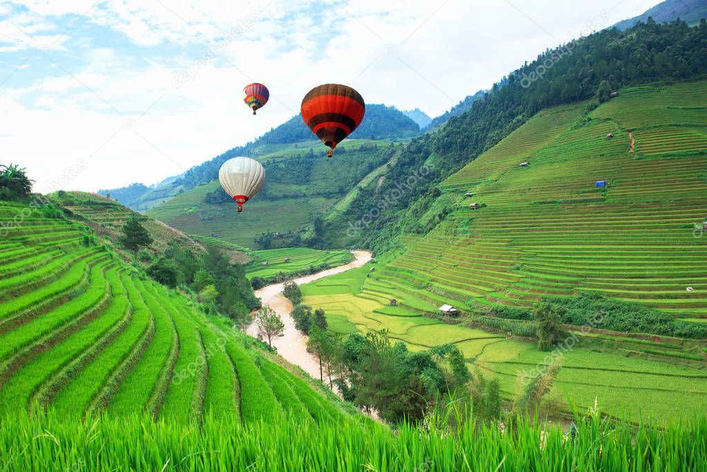 Balloon float in the rice fields on terraced of Mu Cang Chai, YenBai