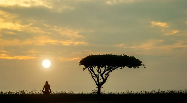 Yalnız ağaç günbatımı arka planda olan siluet yoga kadın — Stok fotoğraf