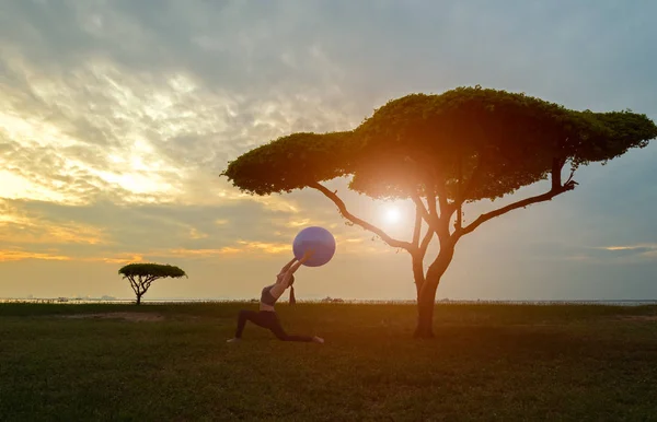 Yoga ve pilates topu genç kadınla yalnız ağaç günbatımı arka planda siluet — Stok fotoğraf