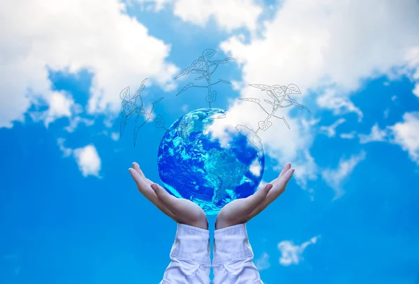 Planeta e árvore em mãos humanas sobre o céu azul com nuvens brancas, Salve o conceito de terra, Elementos desta imagem fornecidos pelo NAS — Fotografia de Stock