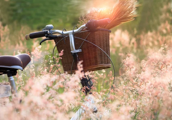 자전거 바구니와 엉클 초원에서 꽃의, 선택 하 고 소프트 포커스 — 스톡 사진