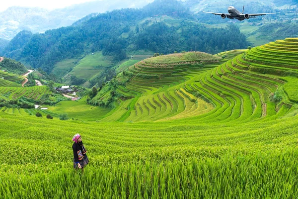 Campi di riso su terrazze di Mu Cang Chai, YenBai, Vietnam, soft focus — Foto Stock