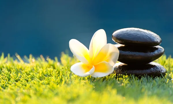 Wellness massage met rock spa, Thailand, zacht en selecteer focus — Stockfoto