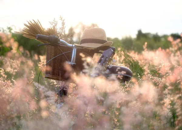 Fiets met het mandje en gitaar van bloemen in de weide, select en zachte focus — Stockfoto
