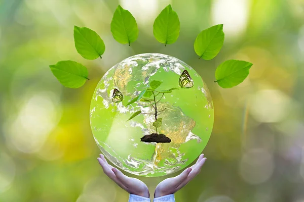 Green world and butterfly in man hand, green background, Earth image provided by Nasa.