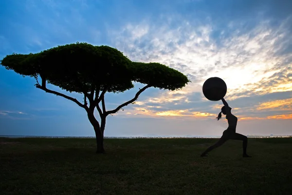 Siluet yalnız ağaç günbatımı arka planda yoga genç kadınla. Sağlıklı kavramı. — Stok fotoğraf