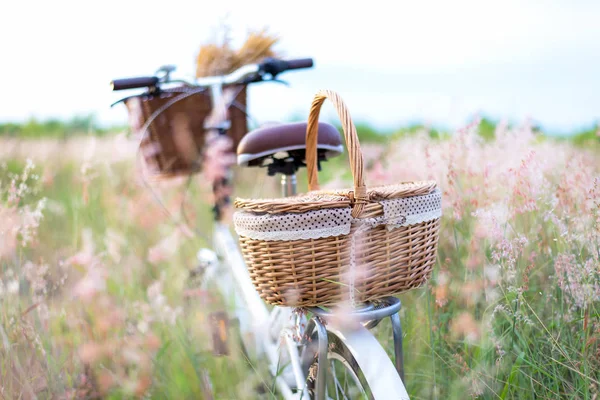 자전거 바구니 피크닉와 풀밭에서 꽃의 기타 복고풍. 여행 개념입니다. 선택 하 고 소프트 포커스 — 스톡 사진