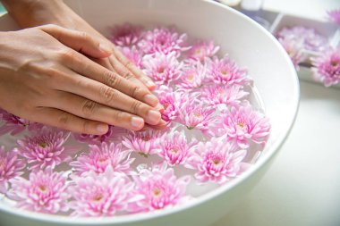 Kaplıca tedavisi ve ürün kadın ayak ve manikür çivi için pembe çiçek, bulunan spa alanı, yumuşak kopyalayın ve odak, Tayland seçin. Sağlıklı kavramı.