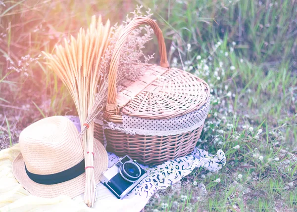 Panier avec appareil photo et fleur, chapeau pour le pique-nique sur prairie. Tonalité vintage — Photo