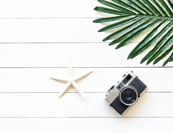 Vintage Fotoğraf kamera ile deniz hayvan ahşap beyaz, odak seçin. Yaşam tarzı kavramı