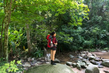 Şelale ile orman iz üzerinde duran ve uzağa arıyorsunuz Asyalı kadın uzun yürüyüşe çıkan kimse. Dişi doğada yürüyüş sırt ile. Seyahat kavramı