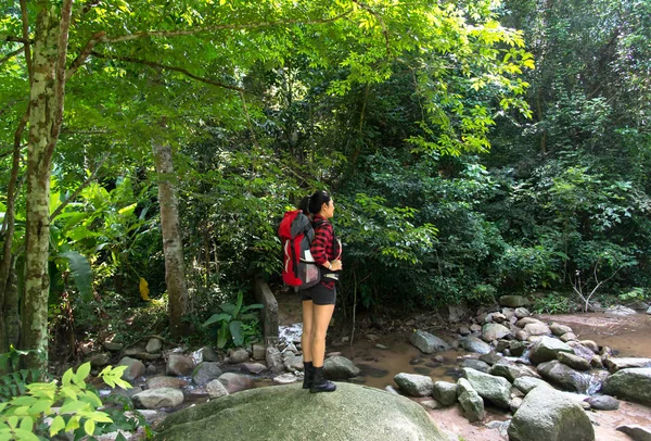 Şelale ile orman iz üzerinde duran ve uzağa arıyorsunuz Asyalı kadın uzun yürüyüşe çıkan kimse. Dişi doğada yürüyüş sırt ile. Seyahat kavramı