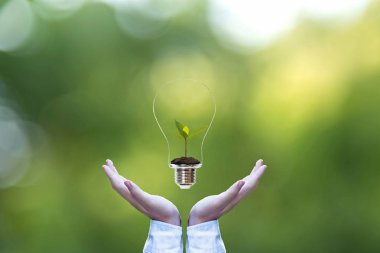 Ampul ile toprak, doğa yeşil arka plan tasarruf için yeşil bitki içinde tutan el. Fikir çevre koruma kavramı