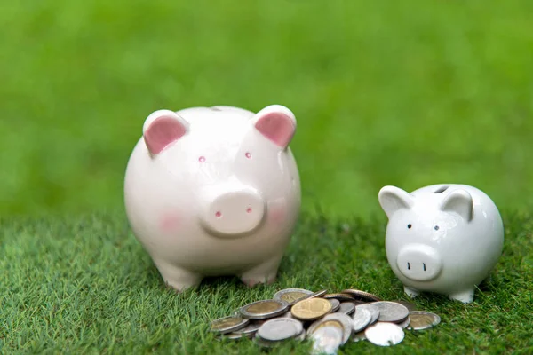 Sparschwein Geld sparen mit den Münzen grünen Hintergrund. Finanzierungs- und Investitionskonzept — Stockfoto