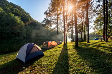 Kamp ve çadır altında çam ormanı yakınlarında su sabah ve günbatımında Pang-ung, çam ormanı Parkı, Mae Hong Son, Kuzey Tayland, orman arka plan açık maceralarını. Kavram seyahat