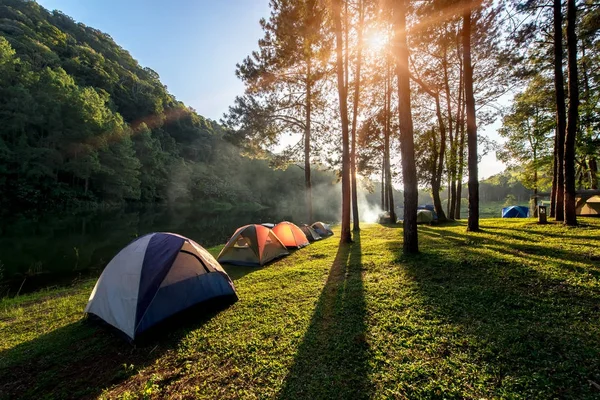 Kamp ve çadır altında çam ormanı yakınlarında su sabah ve günbatımında Pang-ung, çam ormanı Parkı, Mae Hong Son, Kuzey Tayland, orman arka plan açık maceralarını. Kavram seyahat