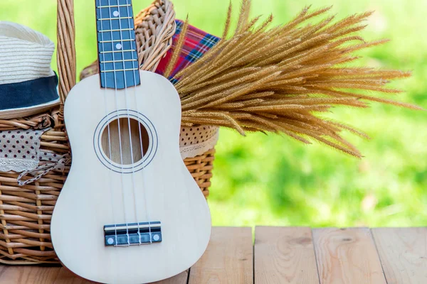 Cesta Piquenique Com Guardanapo Vermelho Flor Ukulele Mulheres Chapéu Lugar — Fotografia de Stock