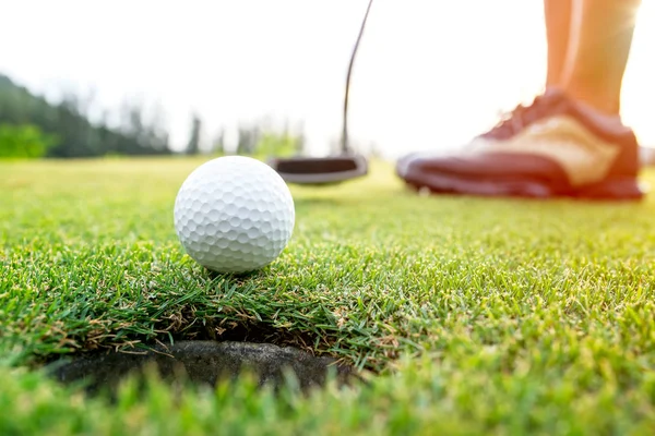 Golfçü Asyalı kadın akşam vakti golf topunu yeşil golf sahasına koyuyor. Sağlıklı ve Yaşam Tarzı Konsepti.