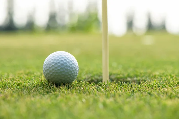 Campo Golf Palla Cucciolo Sul Verde Vicino Buco Giornata Della — Foto Stock