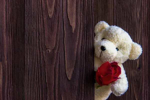 Милый Плюшевый Мишка Сжимает Красную Розу Руках Деревянном Фоне Копия — стоковое фото