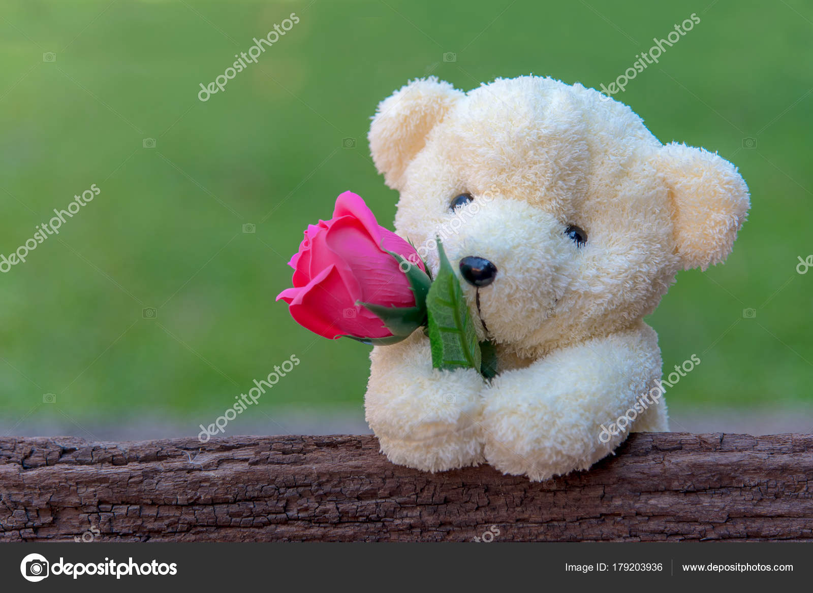 cute teddy bear with red roses