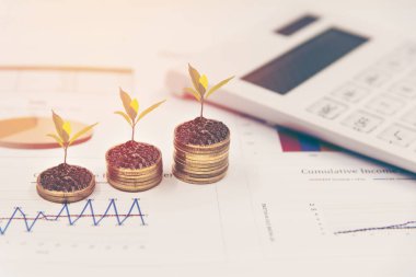 Büyüme bitkiler sikkeleri üzerinde kağıt yığını üzerinde analiz mali grafik ile yatırım iş için hesaplamak. Yatırım ve kavram kaydetme