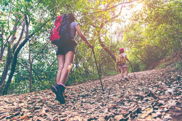 Hiker group young women walking in national park with backpack. Woman tourist going camping in forest. Travel Concept