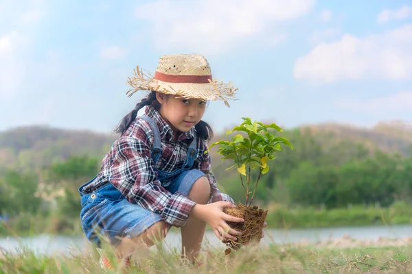 Ασιατικές Παιδί Κορίτσι Φυτό Δενδρύλλιο Δέντρο Φύση Την Άνοιξη Για — Φωτογραφία Αρχείου
