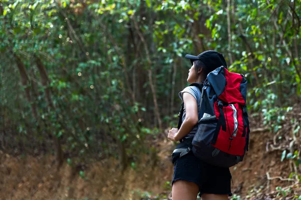 Wanderin Asiatische Junge Frauen Die Mit Rucksack Nationalpark Unterwegs Sind — Stockfoto