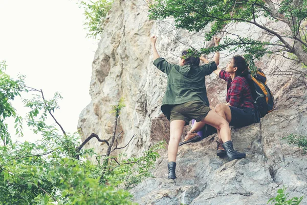 团体女性徒步旅行者带着背包在大树检查地图上寻找方向 并在野外森林中指点方向 团队精神帮助旅行目的地和在山上休闲 旅行简况 — 图库照片