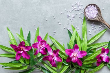 Thai Spa. Üstten görünüm için ayarlama sıcak taş tedavi masaj ve mor orkide cins blackboard kopya alanı ile rahatlayın. Yeşil yaprak siyah taş yığını için spa terapi ile. Yaşam tarzı ve sağlıklı kavramı.