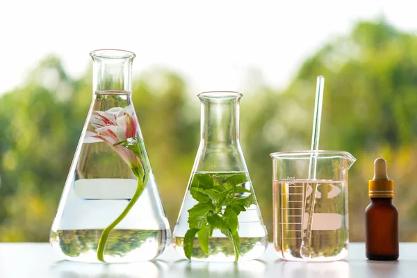 Science Lab Forskning För Naturlig Aromatisk Och Eterisk Olja Från — Stockfoto
