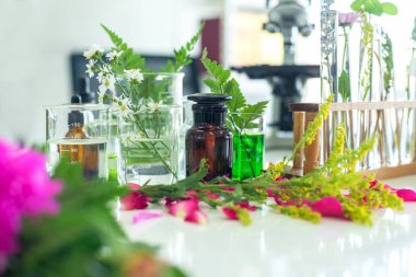 Yeni ürün cilt bakımı için taze çiçekten elde edilen doğal aromatik ve gerekli yağ için mikroskop ile bilim laboratuarı araştırması. Sağlıklı ve Doğal Konsept