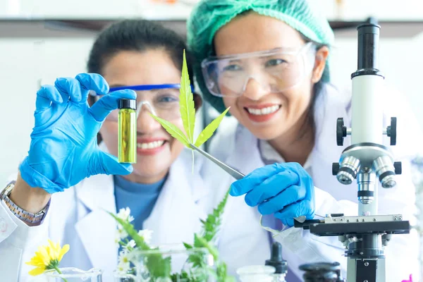 Närbild Grön Olja Och Viktigt Med Team Science Lab Forskningsblomma — Stockfoto