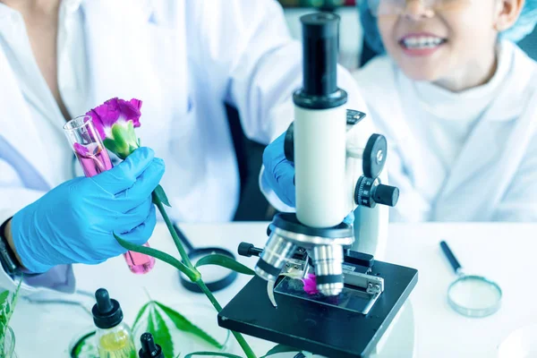 아시아 소녀의 관리를 새로운 관리를 꽃에서 향료와 필수적 기름을 실험실에서 — 스톡 사진