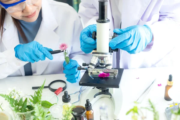 Asian Woman Team Science Lab Research Natural Alternative Herb Essential — Stockfoto