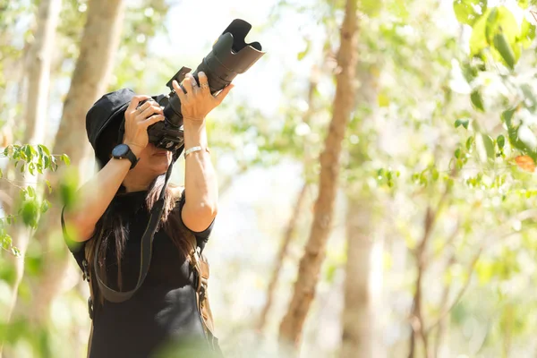 Asijské Žena Objevování Les Zelený Přírodní Zachycení Krásy Přírody Venku — Stock fotografie