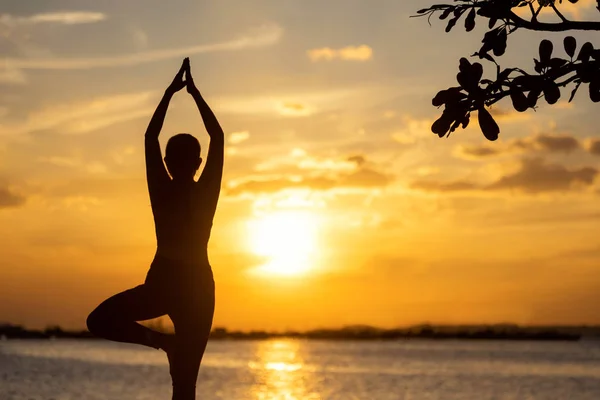 Silhouette Femme Saine Yoga Équilibre Corps Exercice Vital Méditer Pratiquer — Photo