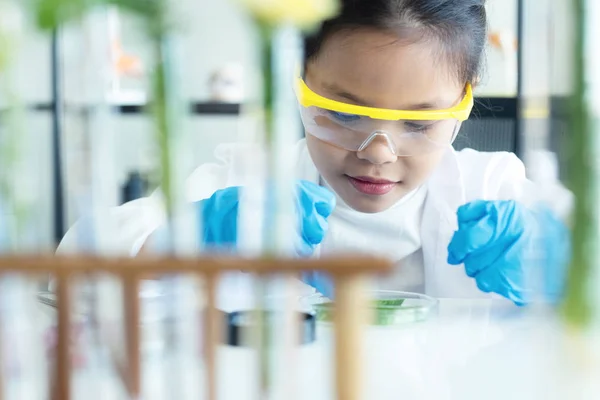 Asiatisk Flicka Lutar Och Utbildning Med Kvinna Vetenskap Lab Forskning — Stockfoto