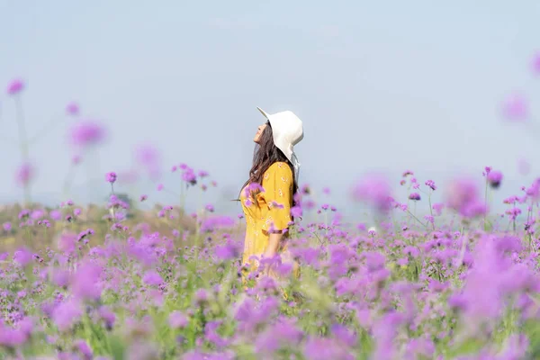 Voyageur Tourisme Femmes Asiatiques Debout Détendre Dans Champ Fleurs Verveine — Photo