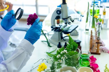 Asyalı Kadın ve takım bilim laboratuarı Doğal Alternatif bitki araştırması ve taze çiçekten gerekli yağ mikroskop ile yeni ürün cilt bakımı. Sağlıklı Laboratuvar 